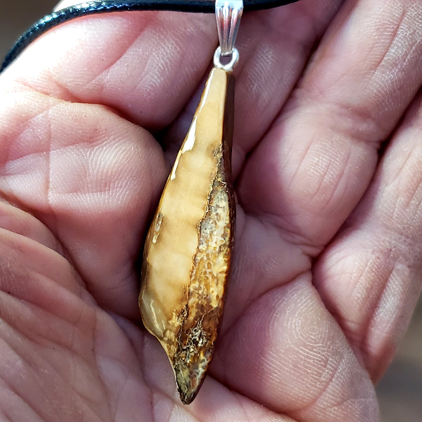 Beach Fossil Walrus Ivory Shard Necklace.