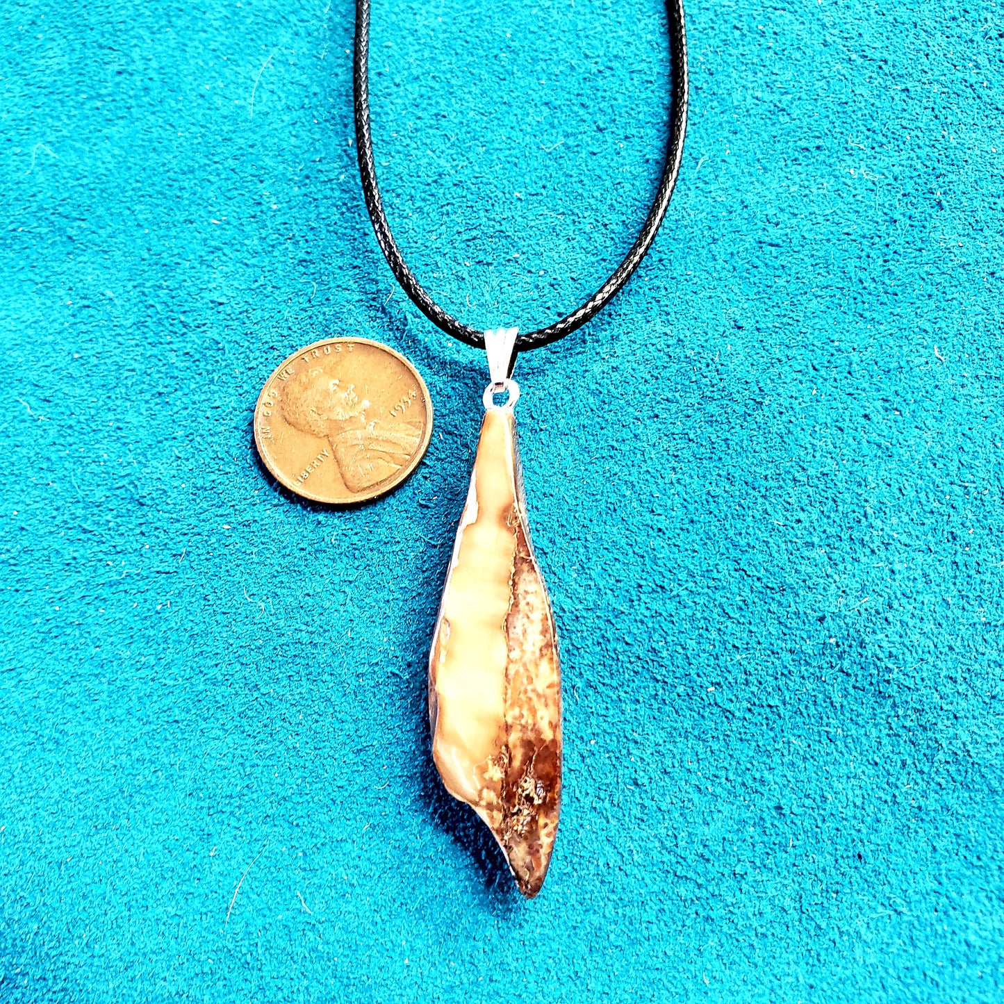 Beach Fossil Walrus Ivory Shard Necklace.