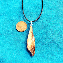 Load image into Gallery viewer, Beach Fossil Walrus Ivory Shard Necklace.
