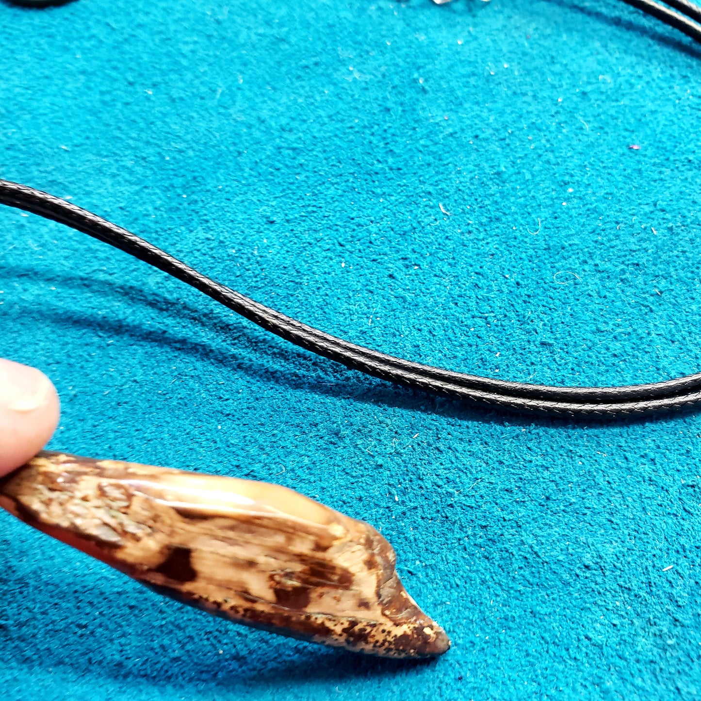 Beach Fossil Walrus Ivory Shard Necklace.