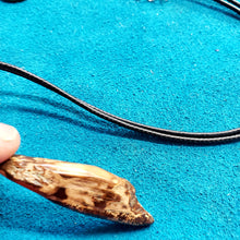 Load image into Gallery viewer, Beach Fossil Walrus Ivory Shard Necklace.
