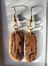 Load image into Gallery viewer, Fossil Mammoth Ivory Earrings
