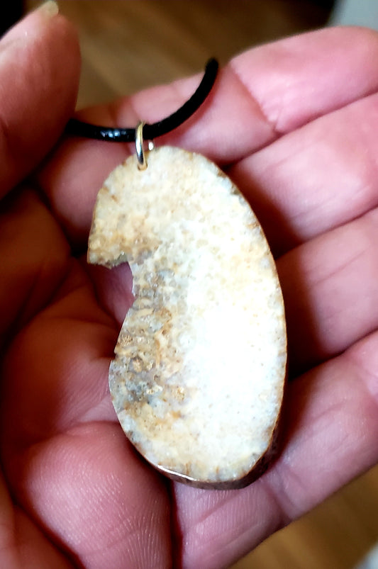 Large Fossil Walrus Ivory Necklace