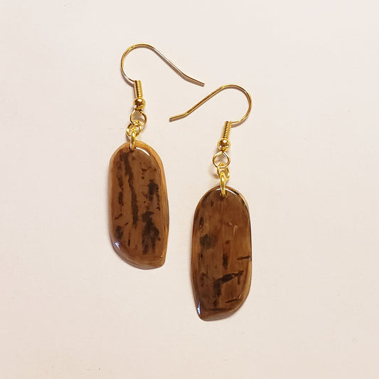 Fossil Mammoth Ivory Earrings