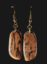 Load image into Gallery viewer, Fossil Mammoth Ivory Earrings
