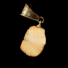 Load image into Gallery viewer, Fossil Walrus Ivory Scrimshawed Necklace
