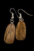 Load image into Gallery viewer, Fossil Mammoth Ivory Feather Earrings
