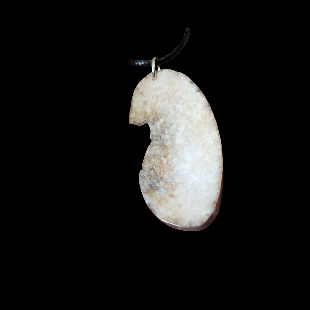 Large Fossil Walrus Ivory Necklace