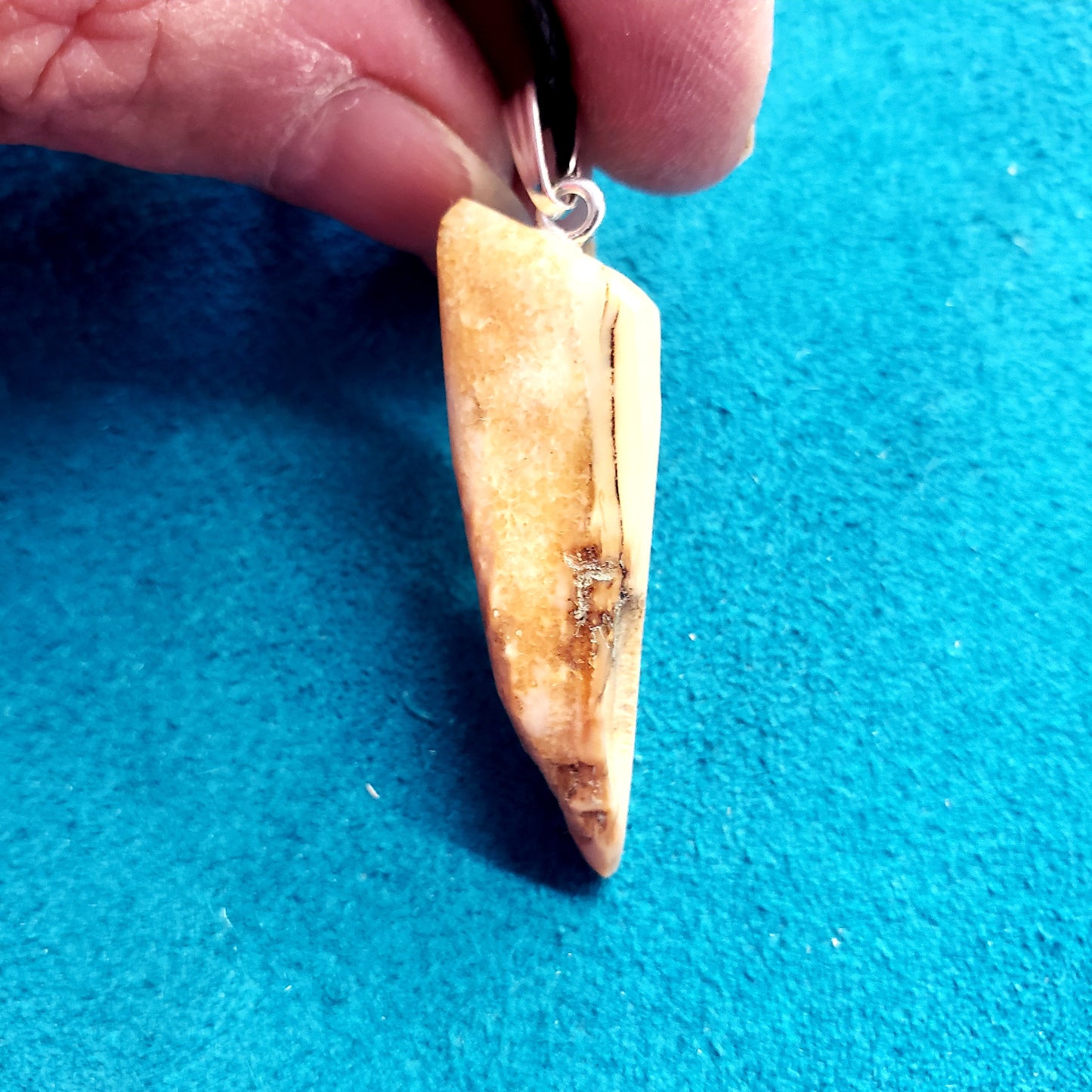 Fossil Walrus Ivory Beach Comber's Necklace